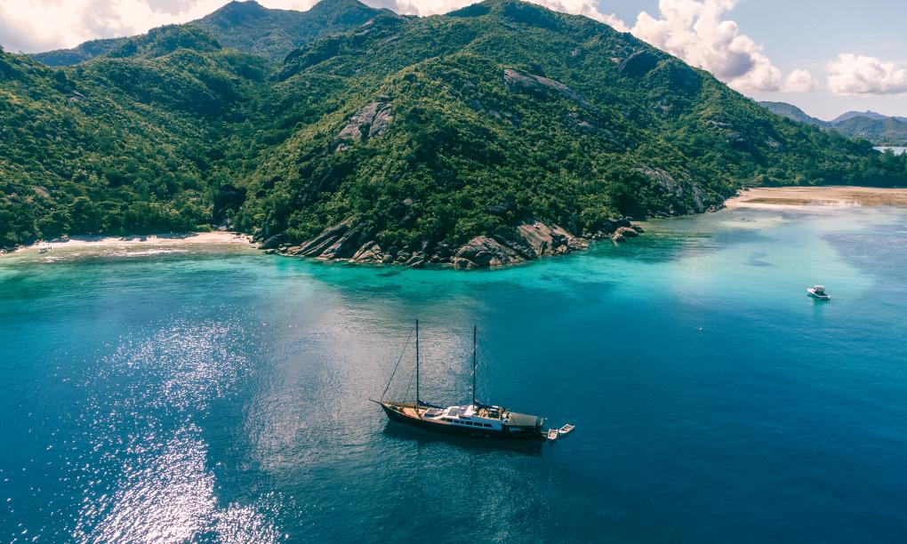 Silhouette Sea Star & Sea Bird