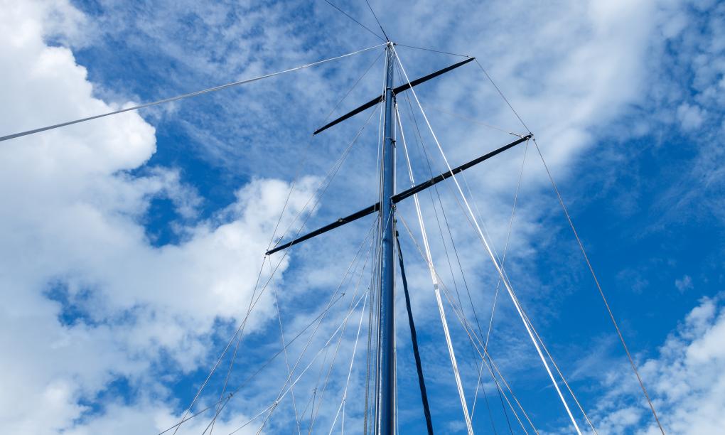 Silhouette Sea Star & Sea Bird