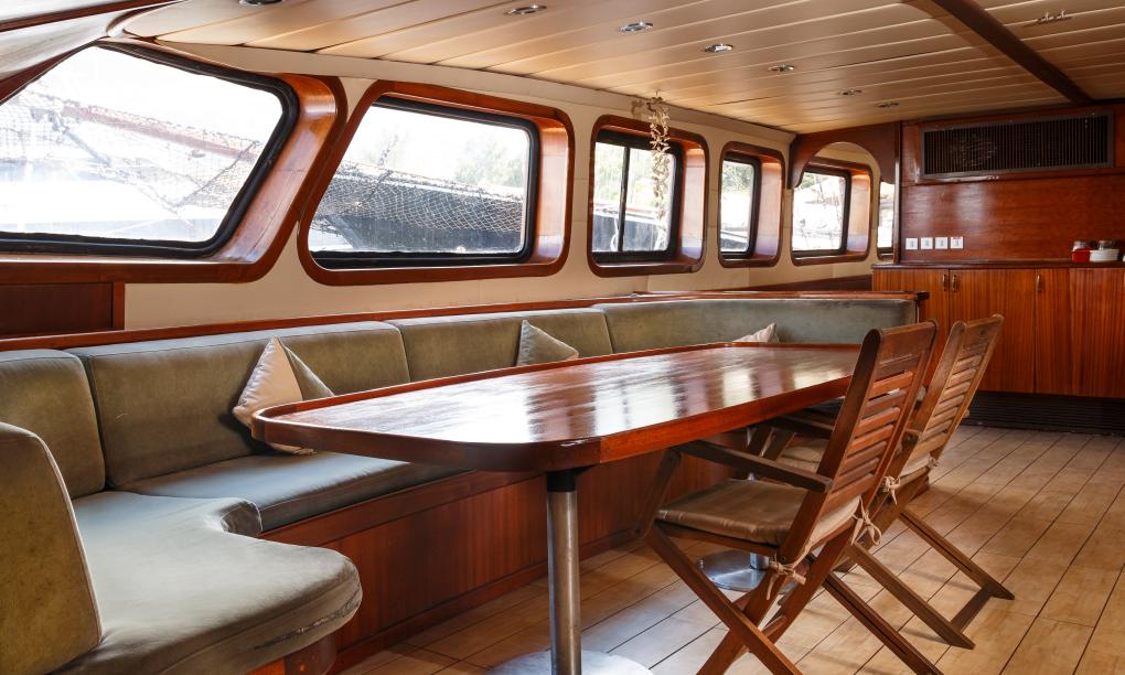 Silhouette Sea Star & Sea Bird