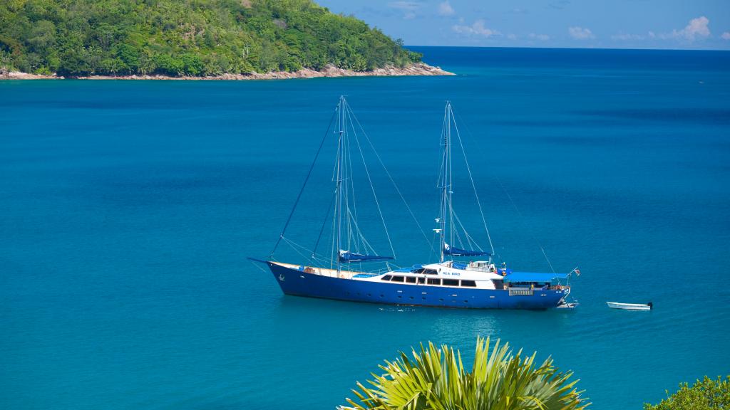 Photo 38: Silhouette Sea Star & Sea Bird - Seychelles (Seychelles)