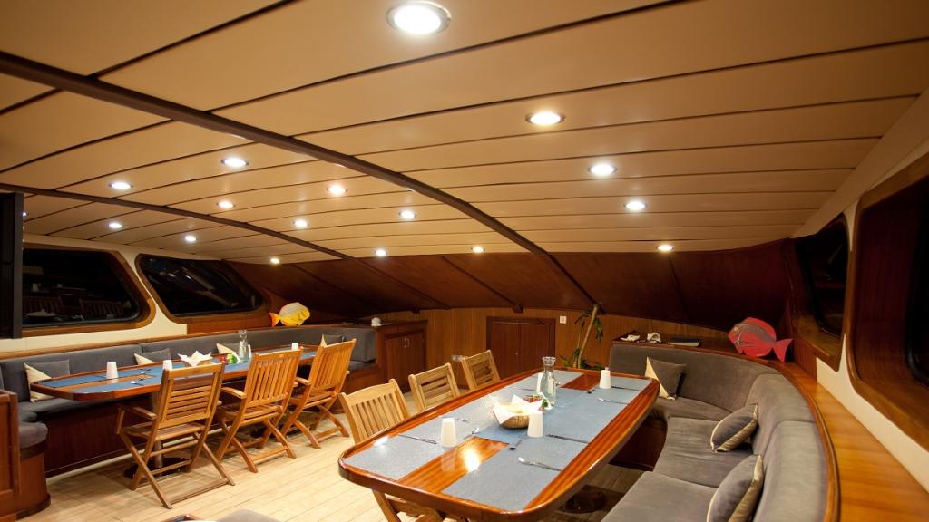 Photo 46: Silhouette Sea Star & Sea Bird - Seychelles (Seychelles)