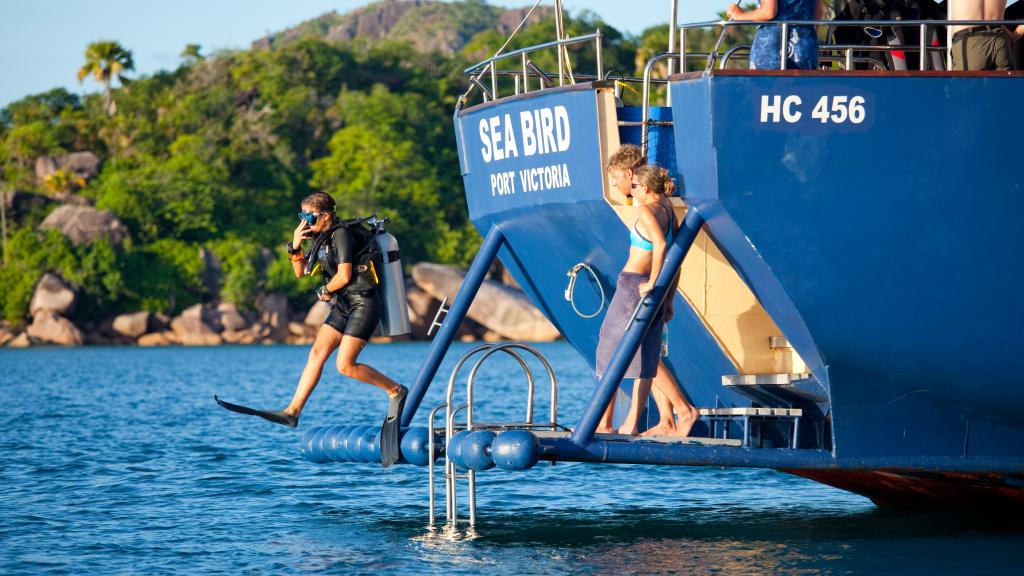 Photo 64: Silhouette Sea Star & Sea Bird - Seychelles (Seychelles)
