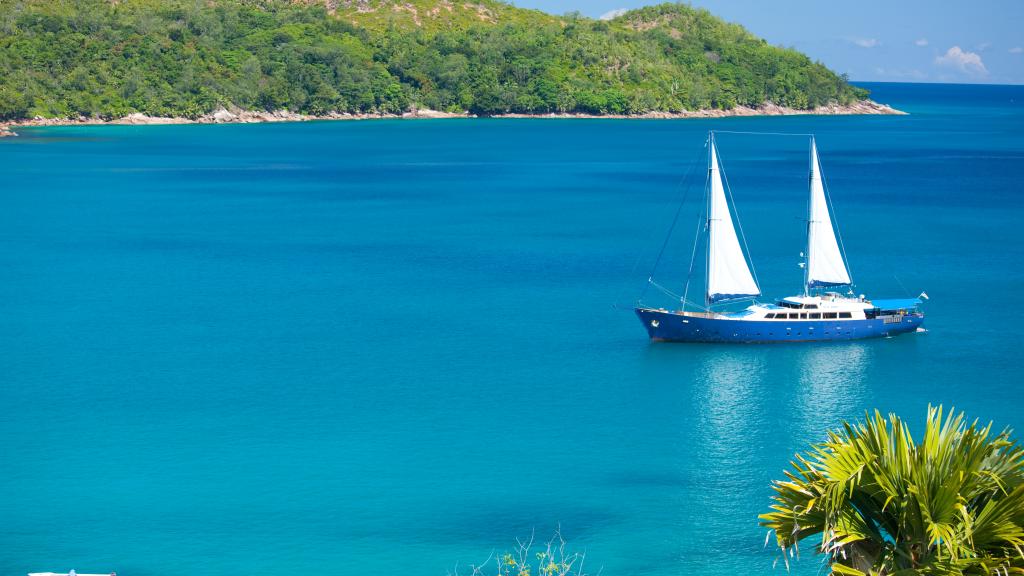 Photo 34: Silhouette Sea Star & Sea Bird - Seychelles (Seychelles)
