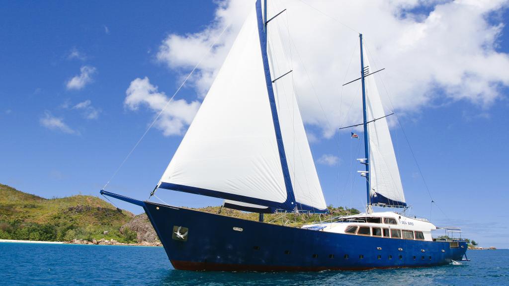 Photo 35: Silhouette Sea Star & Sea Bird - Seychelles (Seychelles)