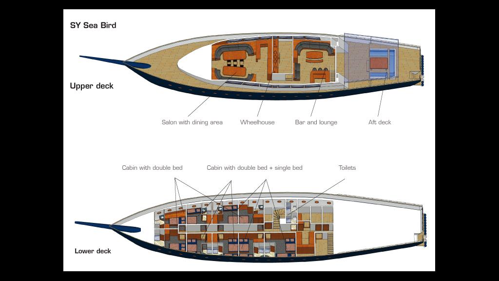 Photo 24: Silhouette Sea Star & Sea Bird - Seychelles (Seychelles)