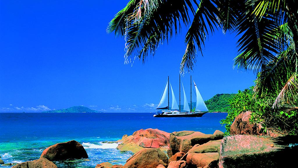 Photo 11: Silhouette Sea Star & Sea Bird - Seychelles (Seychelles)