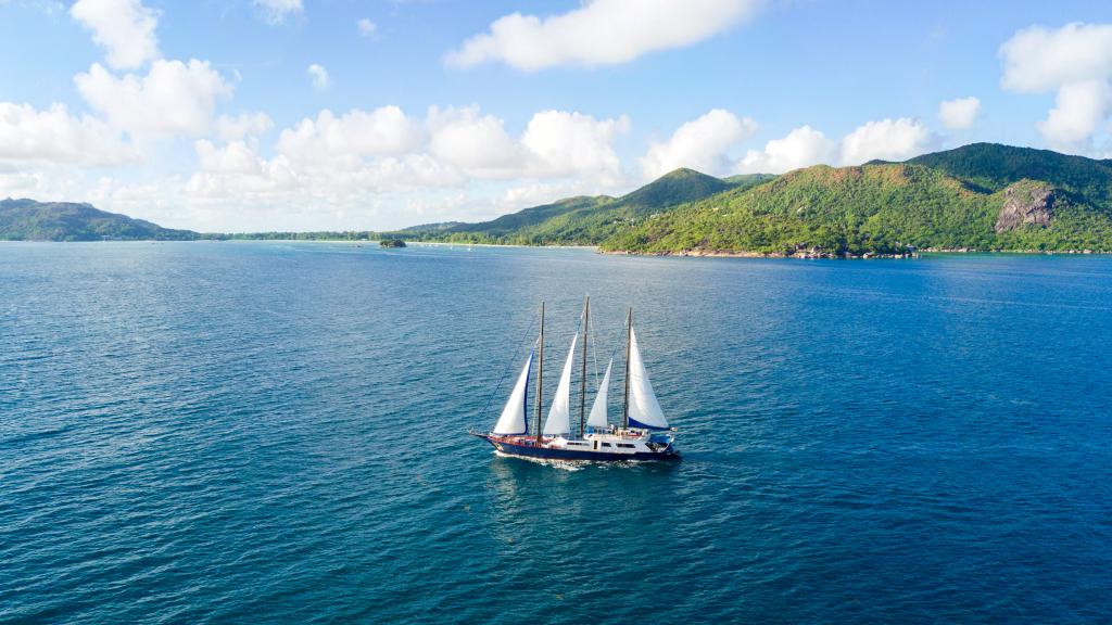 Foto 1: Silhouette Sea Star & Sea Bird - Seychelles (Seychelles)
