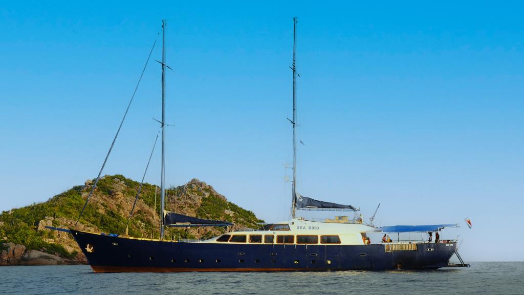 Foto 36: Silhouette Sea Star & Sea Bird - Seychelles (Seychelles)