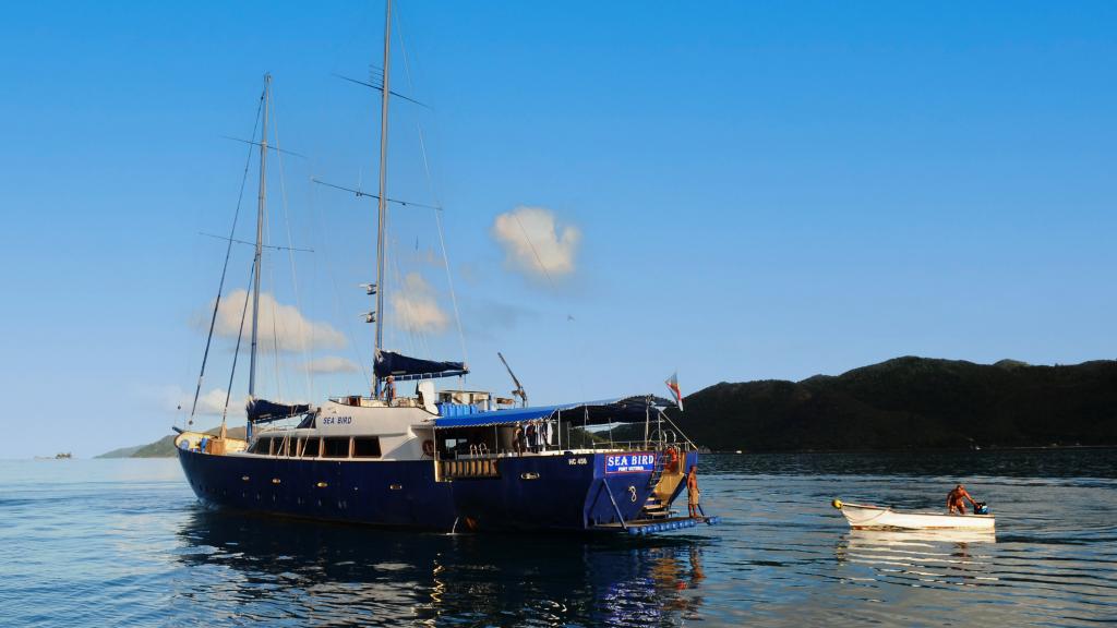 Foto 75: Silhouette Sea Star & Sea Bird - Seychelles (Seychelles)