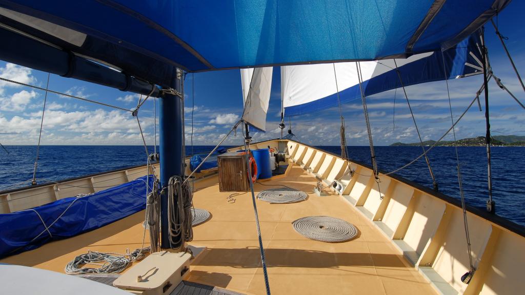 Foto 19: Silhouette Sea Star & Sea Bird - Seychelles (Seychelles)