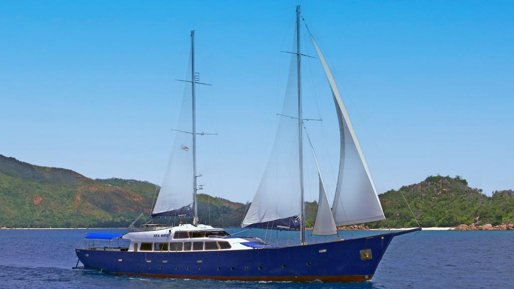Photo 37: Silhouette Sea Star & Sea Bird - Seychelles (Seychelles)
