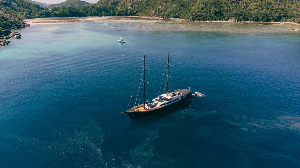 Image of Silhouette Sea Star & Sea Bird