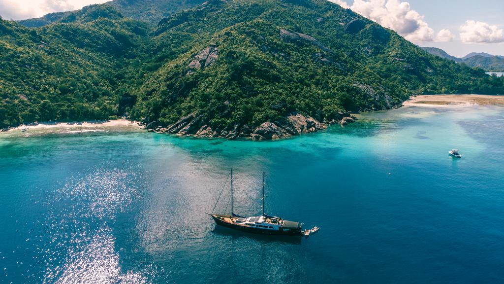 Image of Silhouette Sea Star & Sea Bird