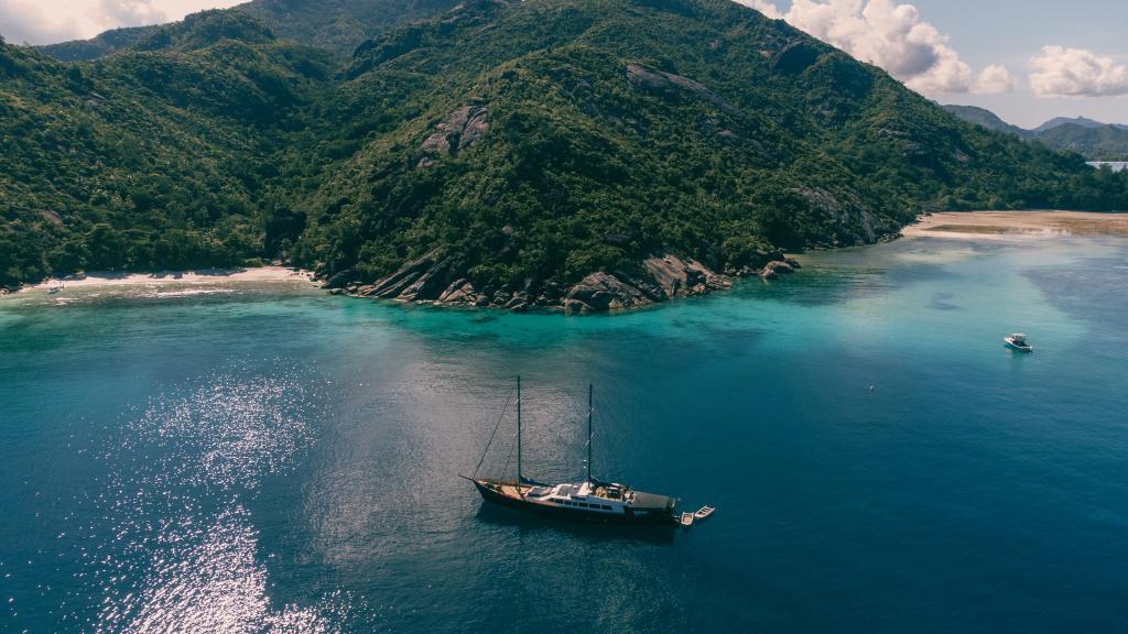 Image of Silhouette Sea Star & Sea Bird