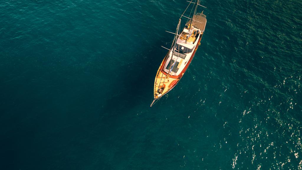 Foto 2: Silhouette Sea Star & Sea Bird - Seychelles (Seychelles)