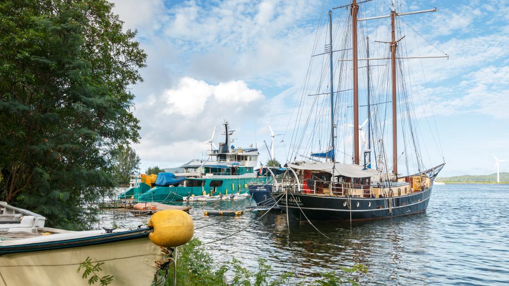 Foto 99: Silhouette Sea Star & Sea Bird - Seychelles (Seychelles)