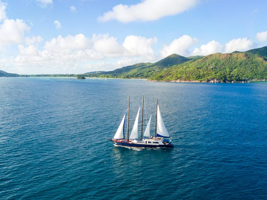 Silhouette Sea Star & Sea Bird - Foto 2