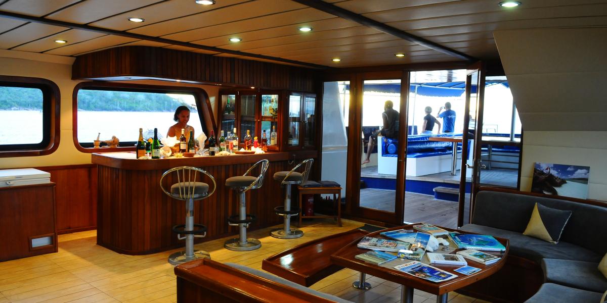 Silhouette Sea Star & Sea Bird