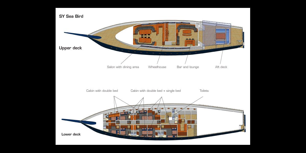 Silhouette Sea Star & Sea Bird