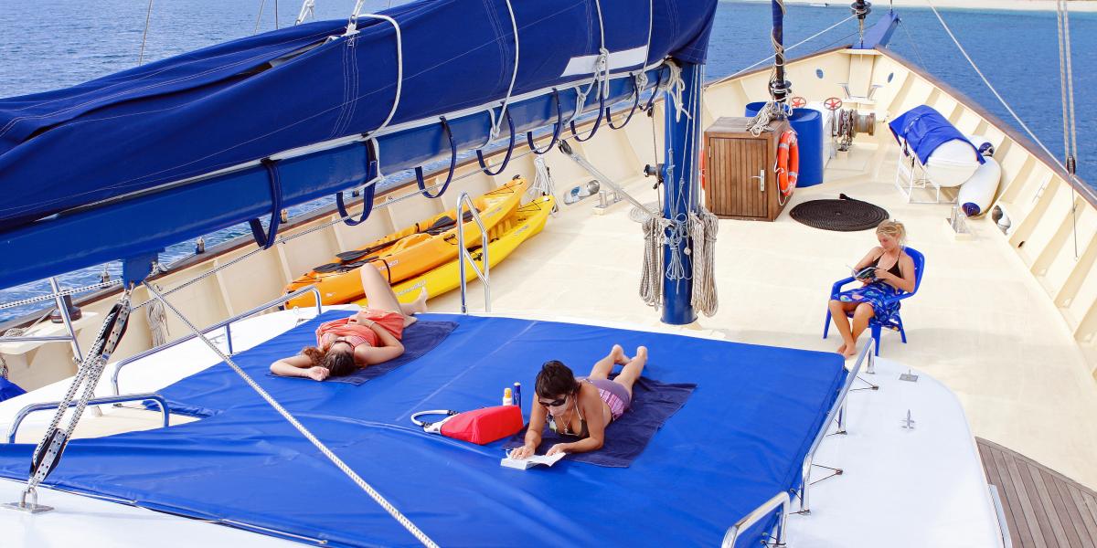 Silhouette Sea Star & Sea Bird