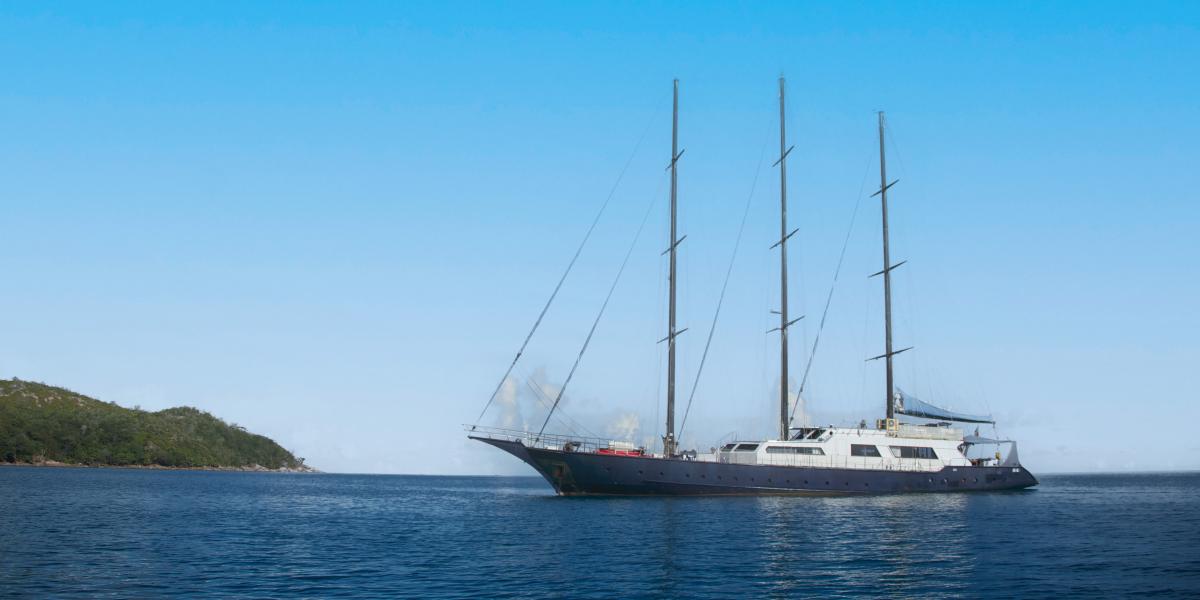 Silhouette Sea Star & Sea Bird