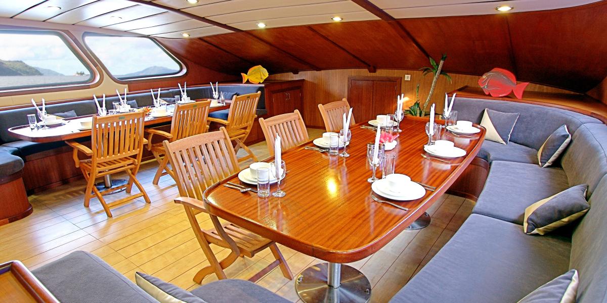 Silhouette Sea Star & Sea Bird