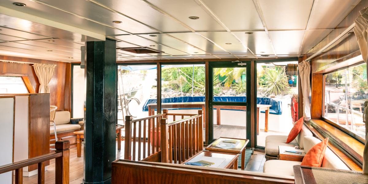 Silhouette Sea Star & Sea Bird