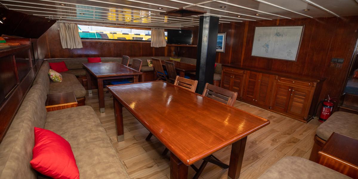 Silhouette Sea Star & Sea Bird