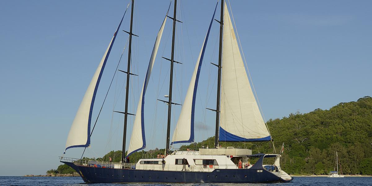 Silhouette Sea Star & Sea Bird