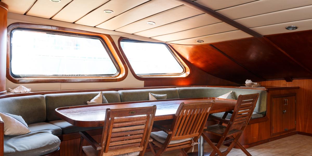 Silhouette Sea Star & Sea Bird