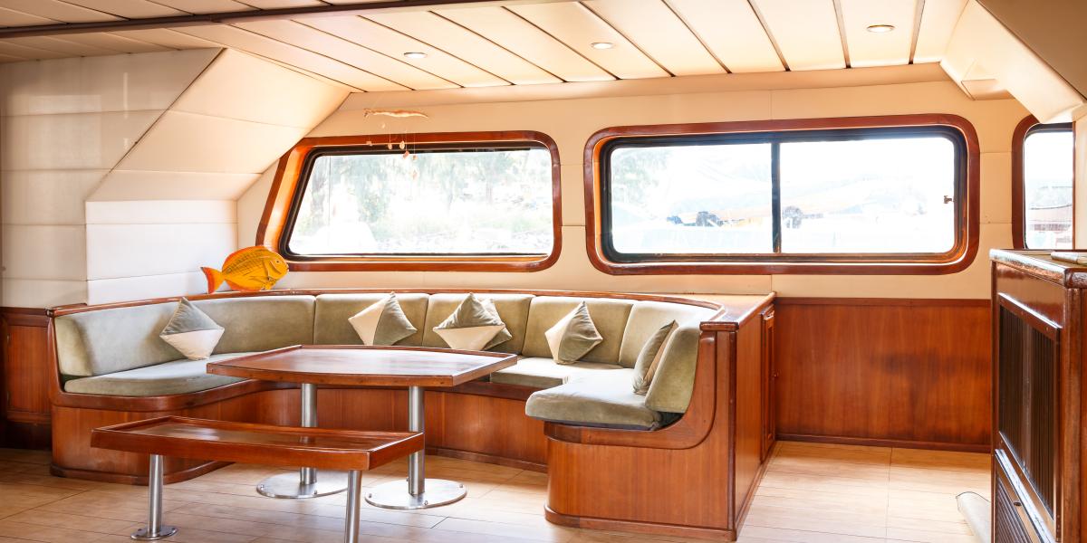 Silhouette Sea Star & Sea Bird