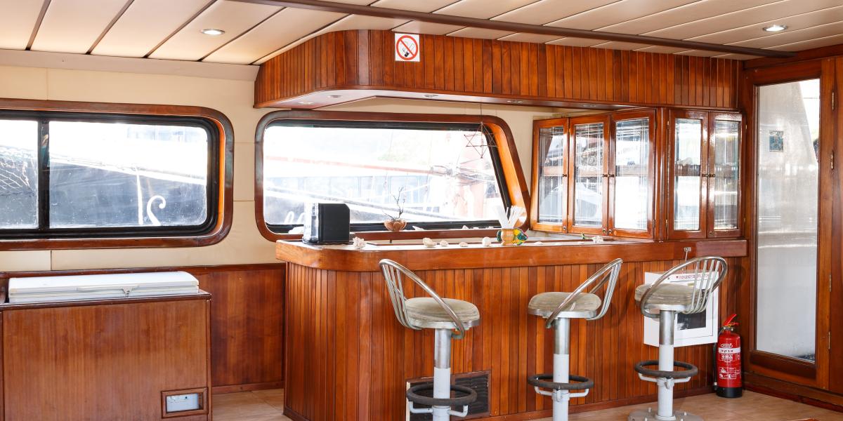 Silhouette Sea Star & Sea Bird