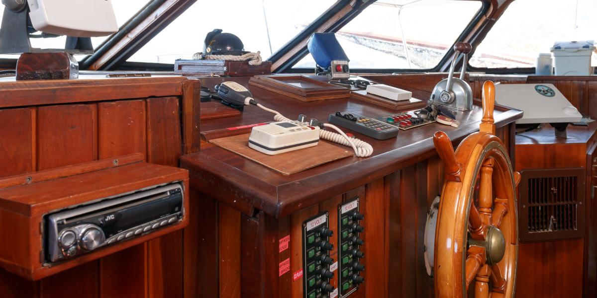 Silhouette Sea Star & Sea Bird