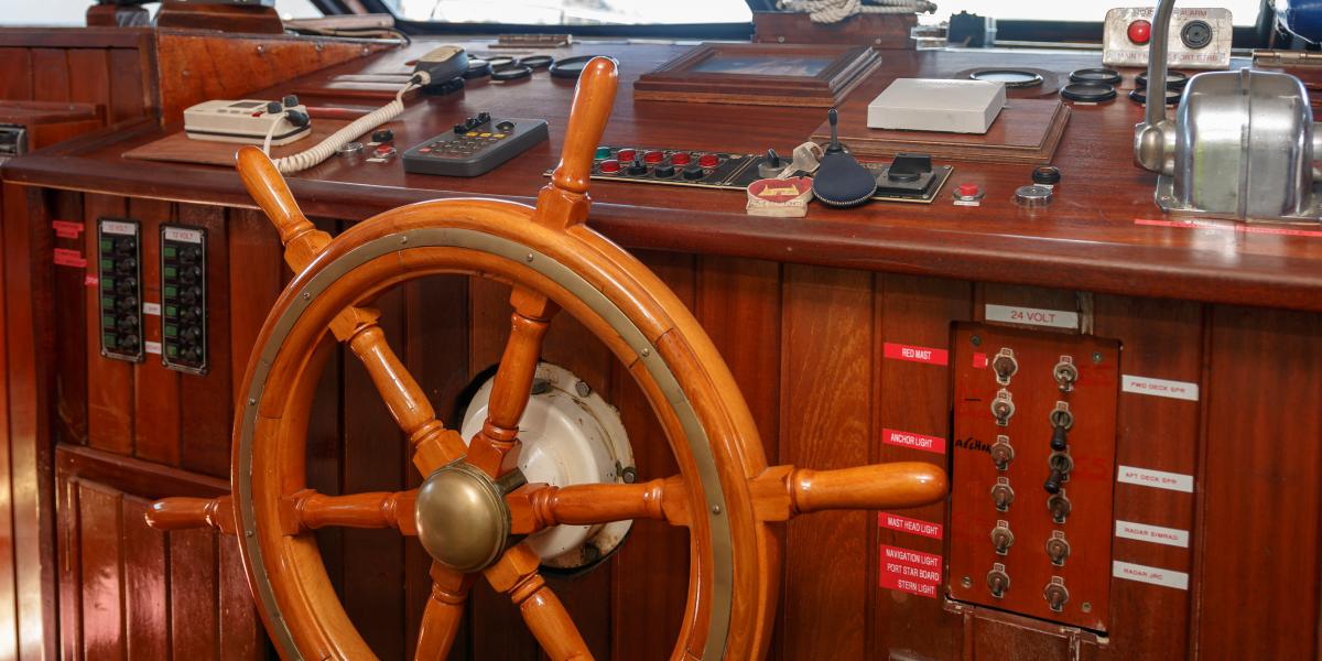 Silhouette Sea Star & Sea Bird