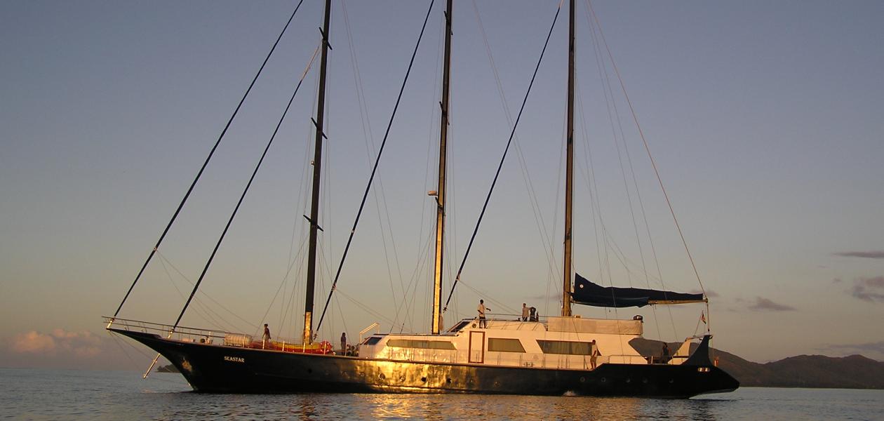 Silhouette Sea Star & Sea Bird - Photo 1