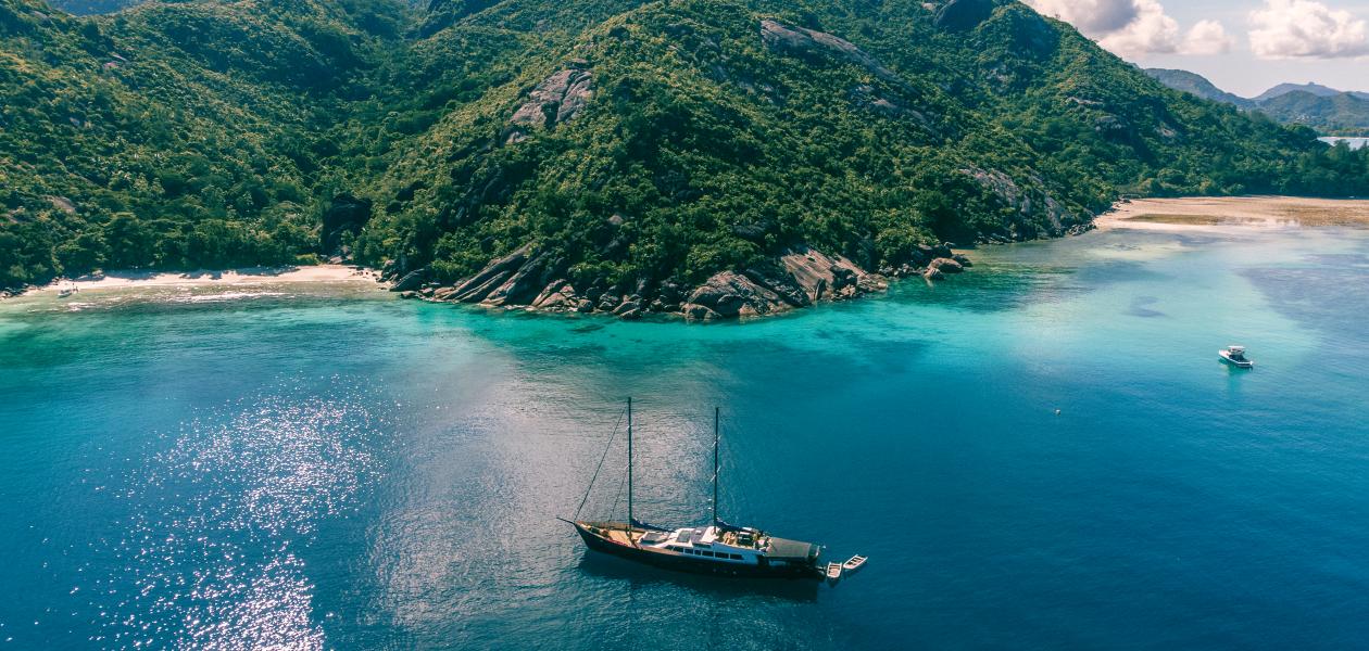 Silhouette Sea Star & Sea Bird - Foto 1