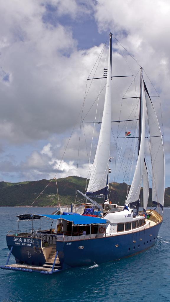 Photo 39: Silhouette Sea Star & Sea Bird - Seychelles (Seychelles)