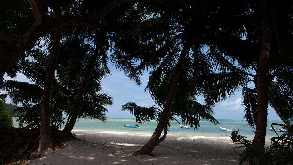 Foto 41: Casa Tara Villas - Praslin (Seychelles)