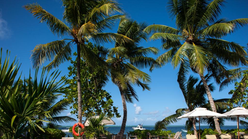 Photo 36: Indian Ocean Lodge - Praslin (Seychelles)