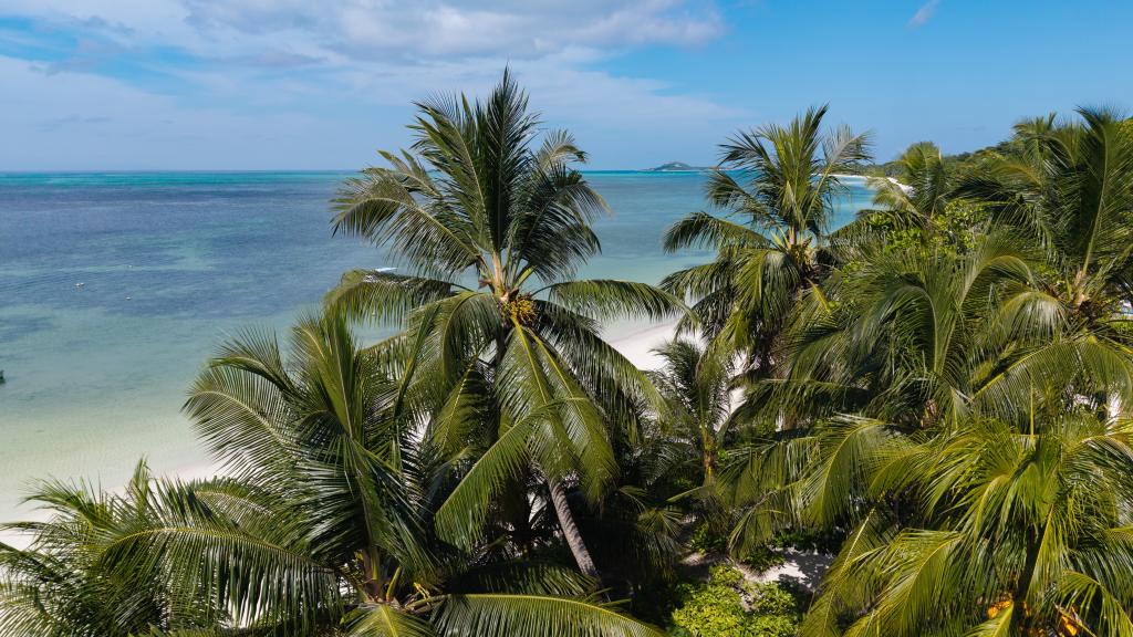Foto 15: Indian Ocean Lodge - Praslin (Seychelles)