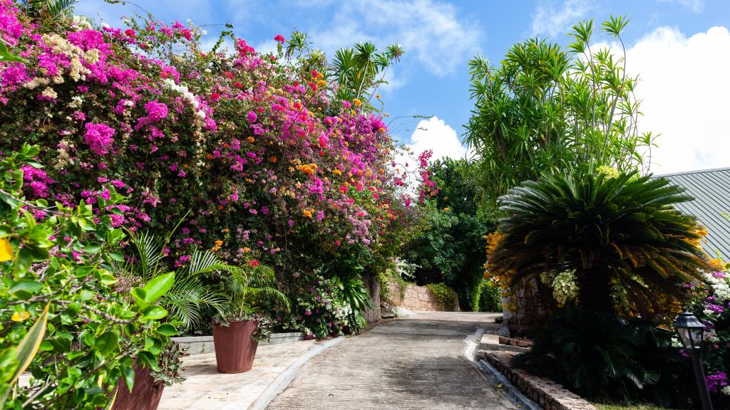 Foto 5: Colibri Guesthouse - Praslin (Seychelles)