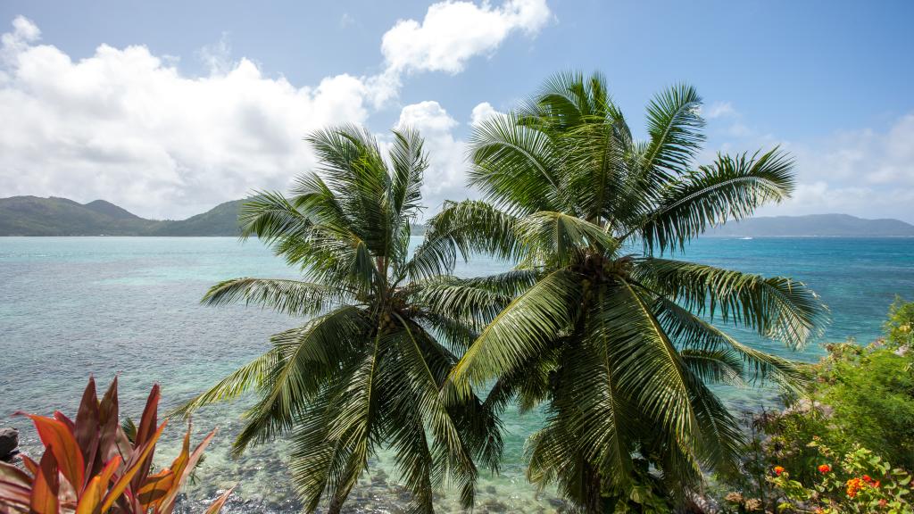 Foto 67: Colibri Guesthouse - Praslin (Seychelles)