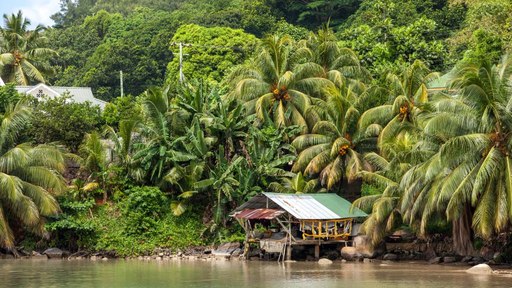 Foto 63: Colibri Guesthouse - Praslin (Seychelles)