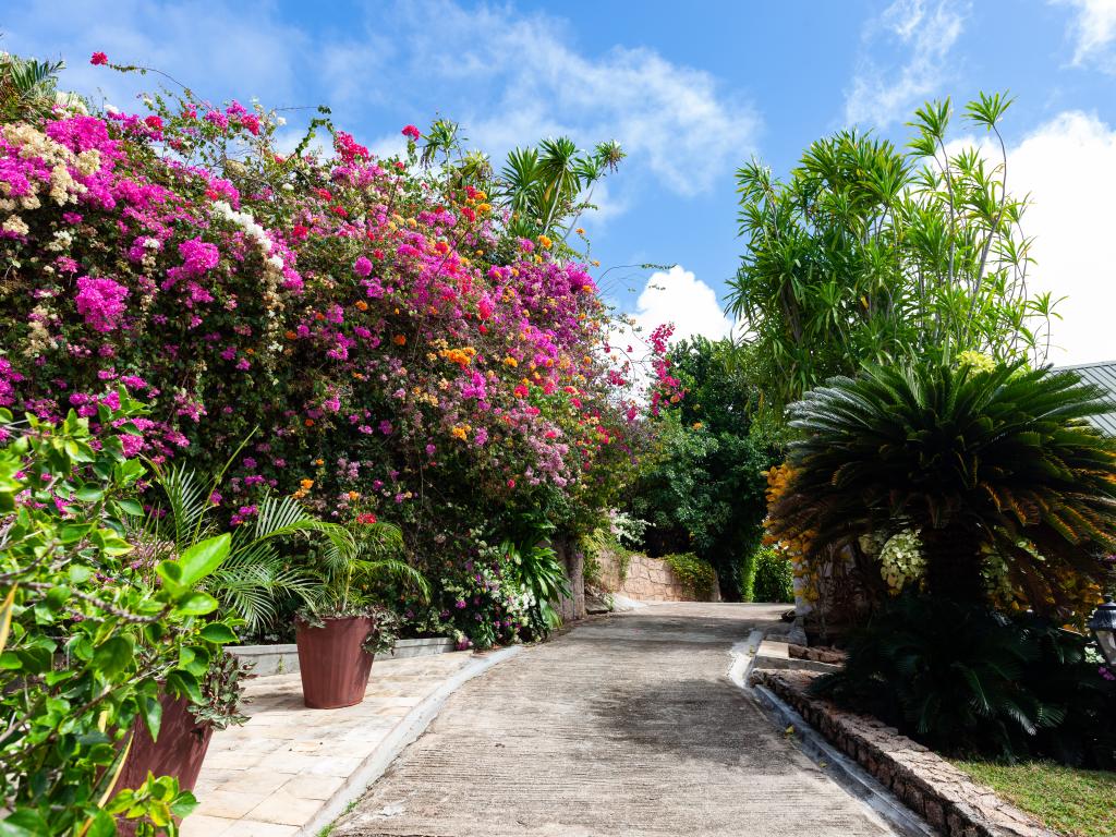 Colibri Guesthouse - Photo 5