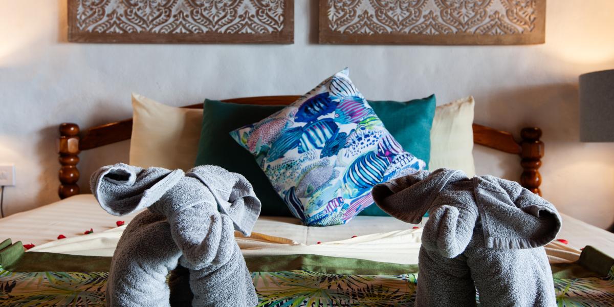 Colibri Guesthouse - Superior-Holzzimmer mit Meerblick