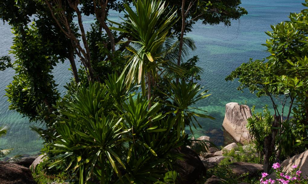 Coco de Mer & Black Parrot Suites