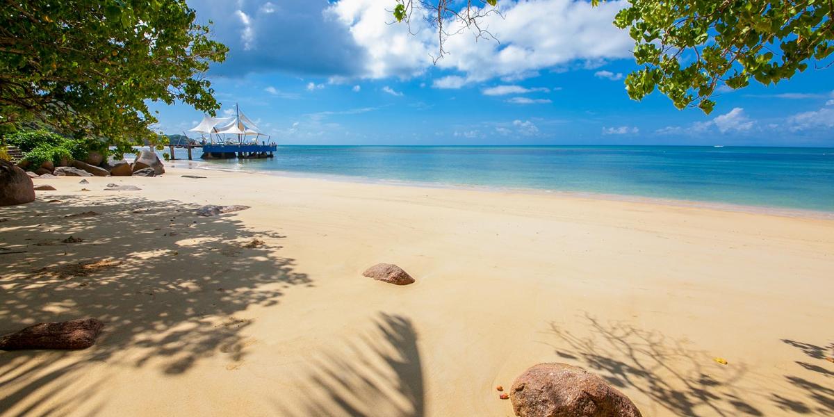 Coco de Mer & Black Parrot Suites