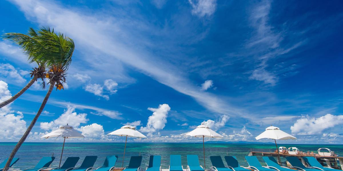 Coco de Mer & Black Parrot Suites