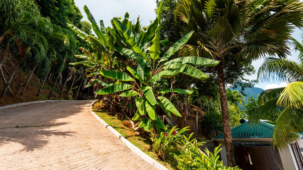 Photo 104: Villas de Jardin - Mahé (Seychelles)