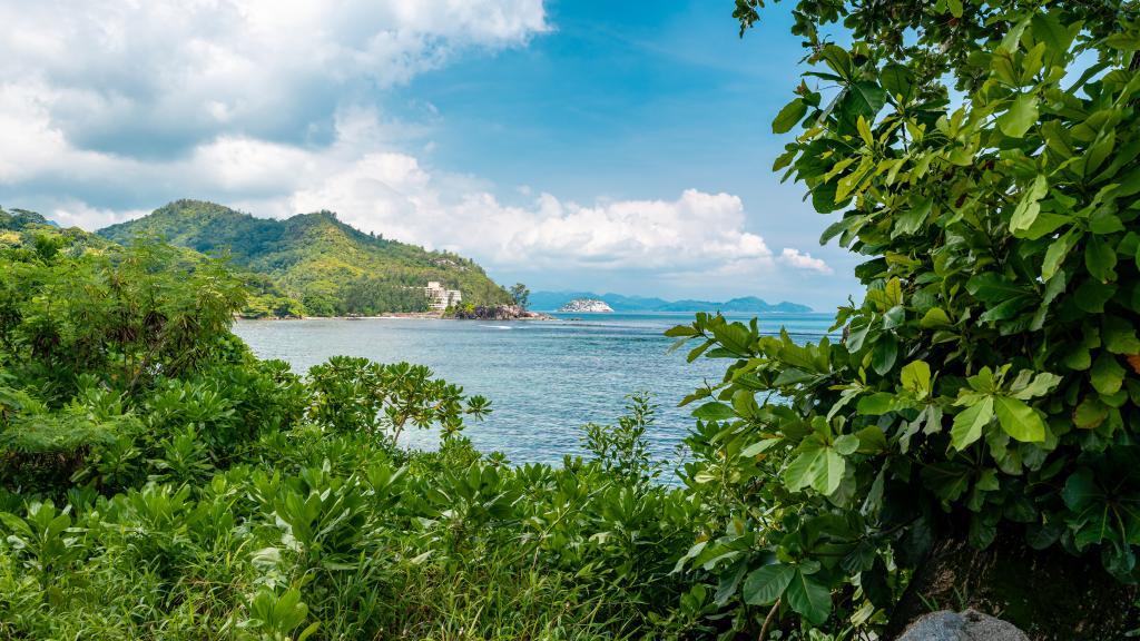 Photo 131: Villas de Jardin - Mahé (Seychelles)